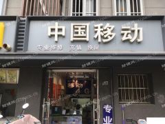  人流量挺不错的来来往往